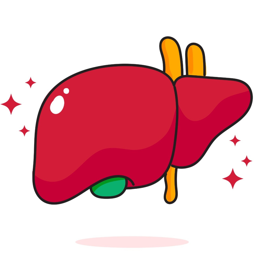 Liver Health