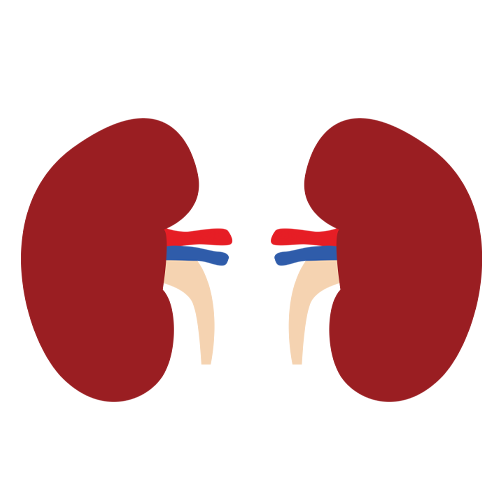 Kidney Health